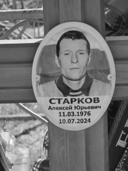 Алексей Старков